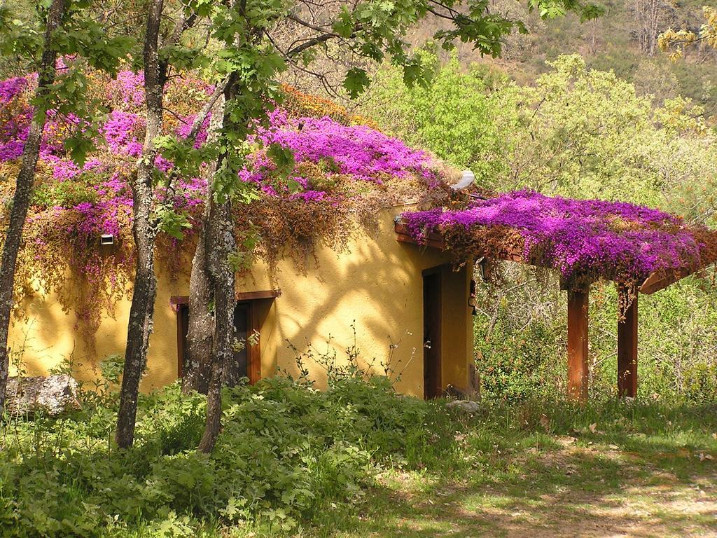 Apartamentos Rurales Ecopangea Valverde de la Vera Camera foto