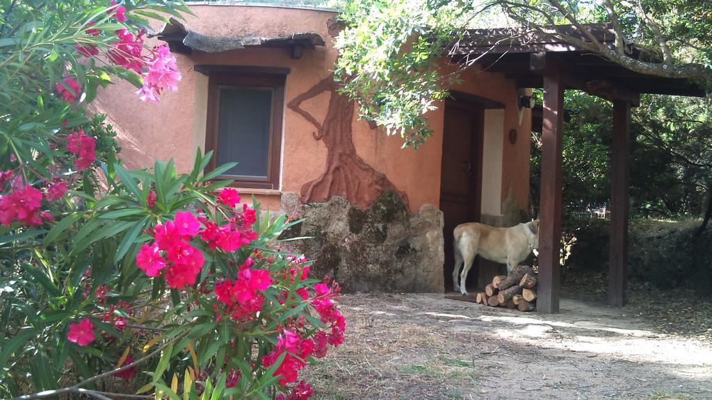 Apartamentos Rurales Ecopangea Valverde de la Vera Esterno foto