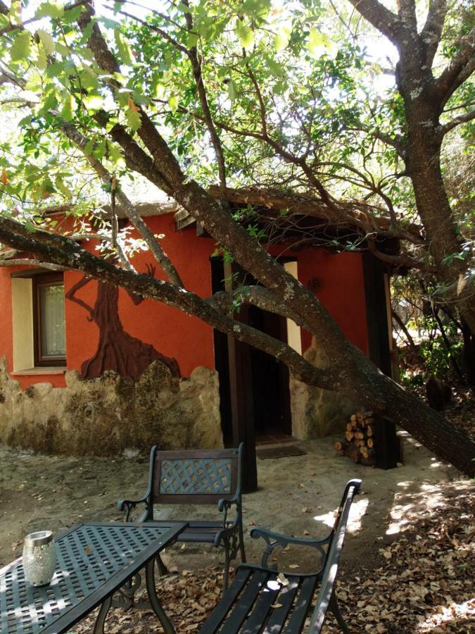 Apartamentos Rurales Ecopangea Valverde de la Vera Esterno foto