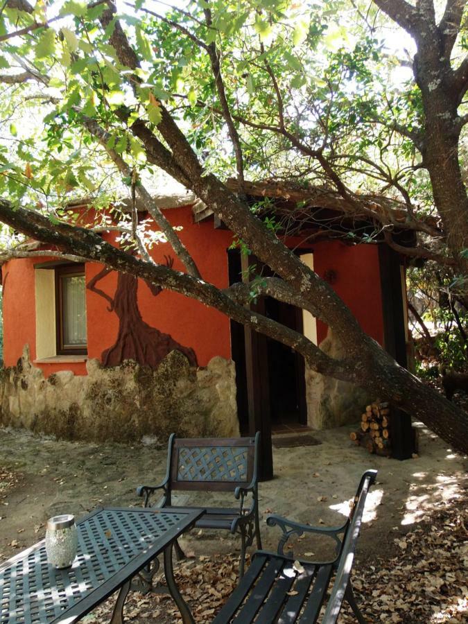 Apartamentos Rurales Ecopangea Valverde de la Vera Esterno foto