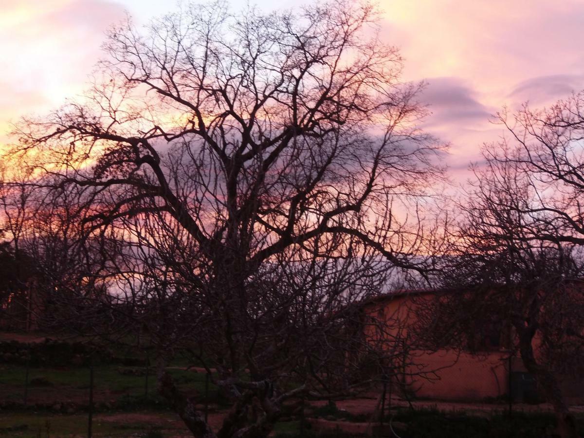 Apartamentos Rurales Ecopangea Valverde de la Vera Esterno foto